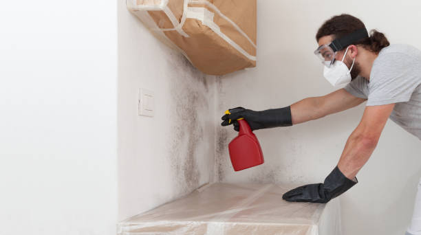 Professional Crawl Space Mold Removal technician working in East Earl, PA